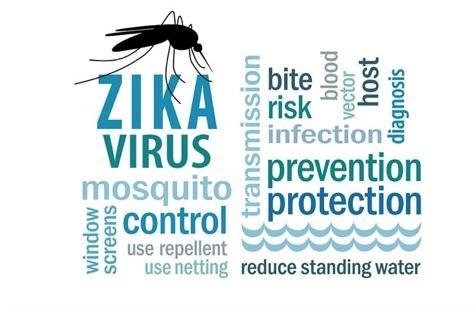 keeping out the mosquitos that carry ZIKA?? .. are the window screens? WHAT DO YOU THINK?