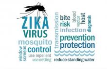 keeping out the mosquitos that carry ZIKA?? .. are the window screens? WHAT DO YOU THINK?